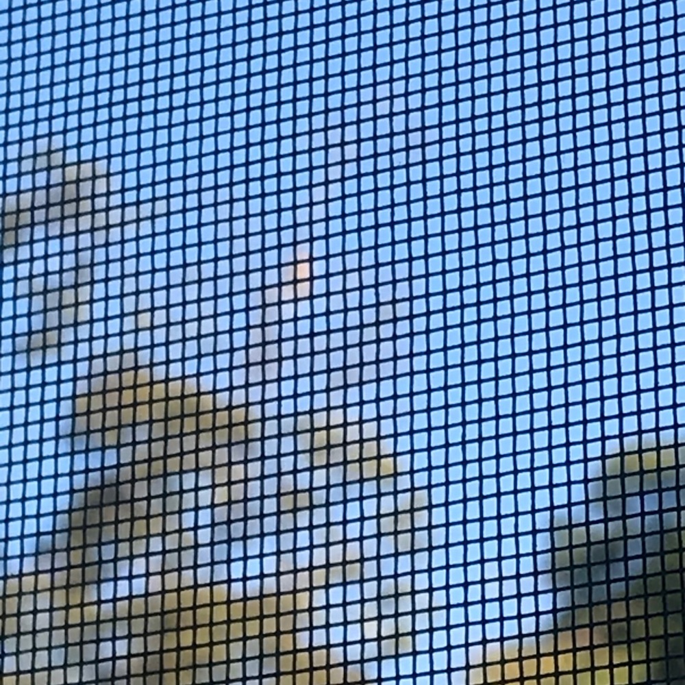 Meet your Posher, Spike